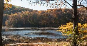 Jenny Jump State Forest