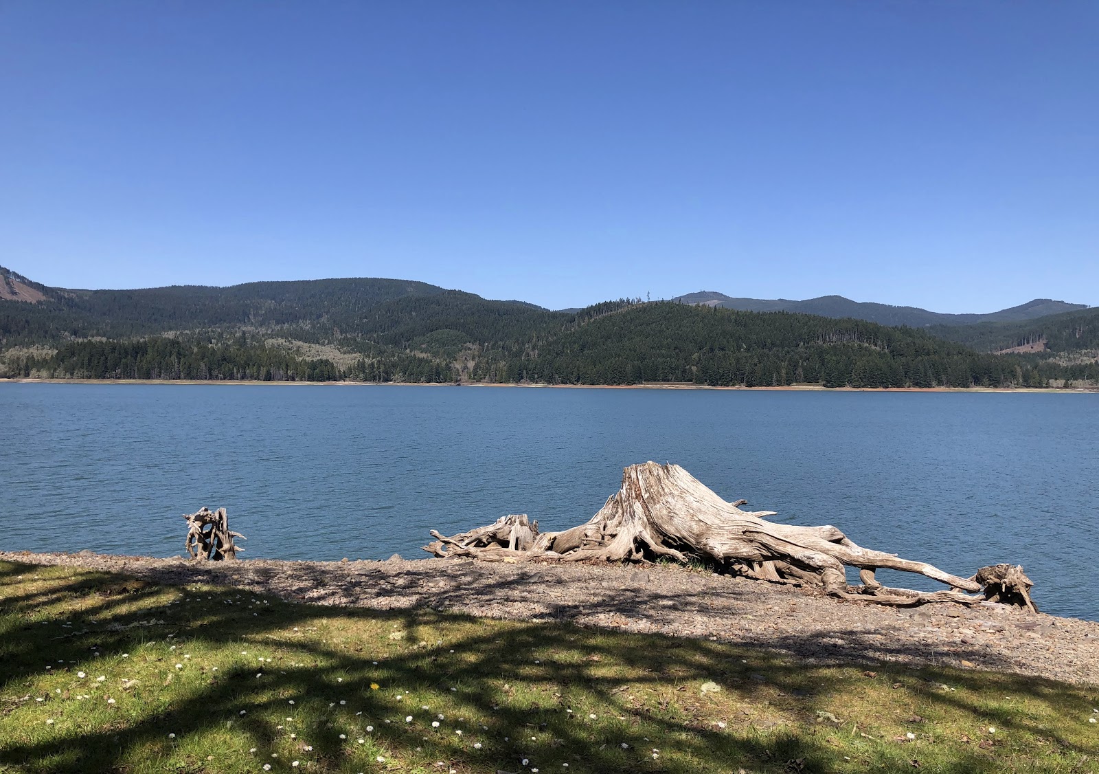 Baker Bay Campgrounds & Marina  a Lane County Park