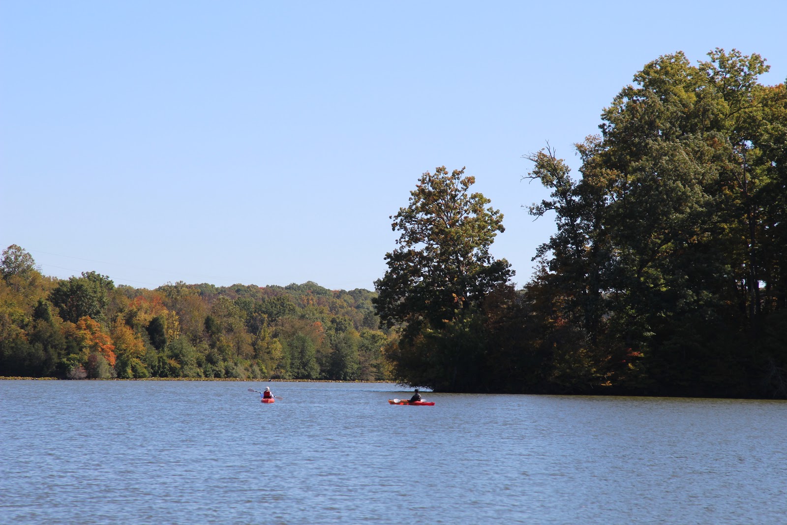 Miami Whitewater Forest