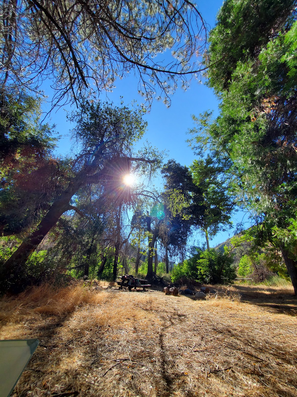Valley Forge Trail Campground