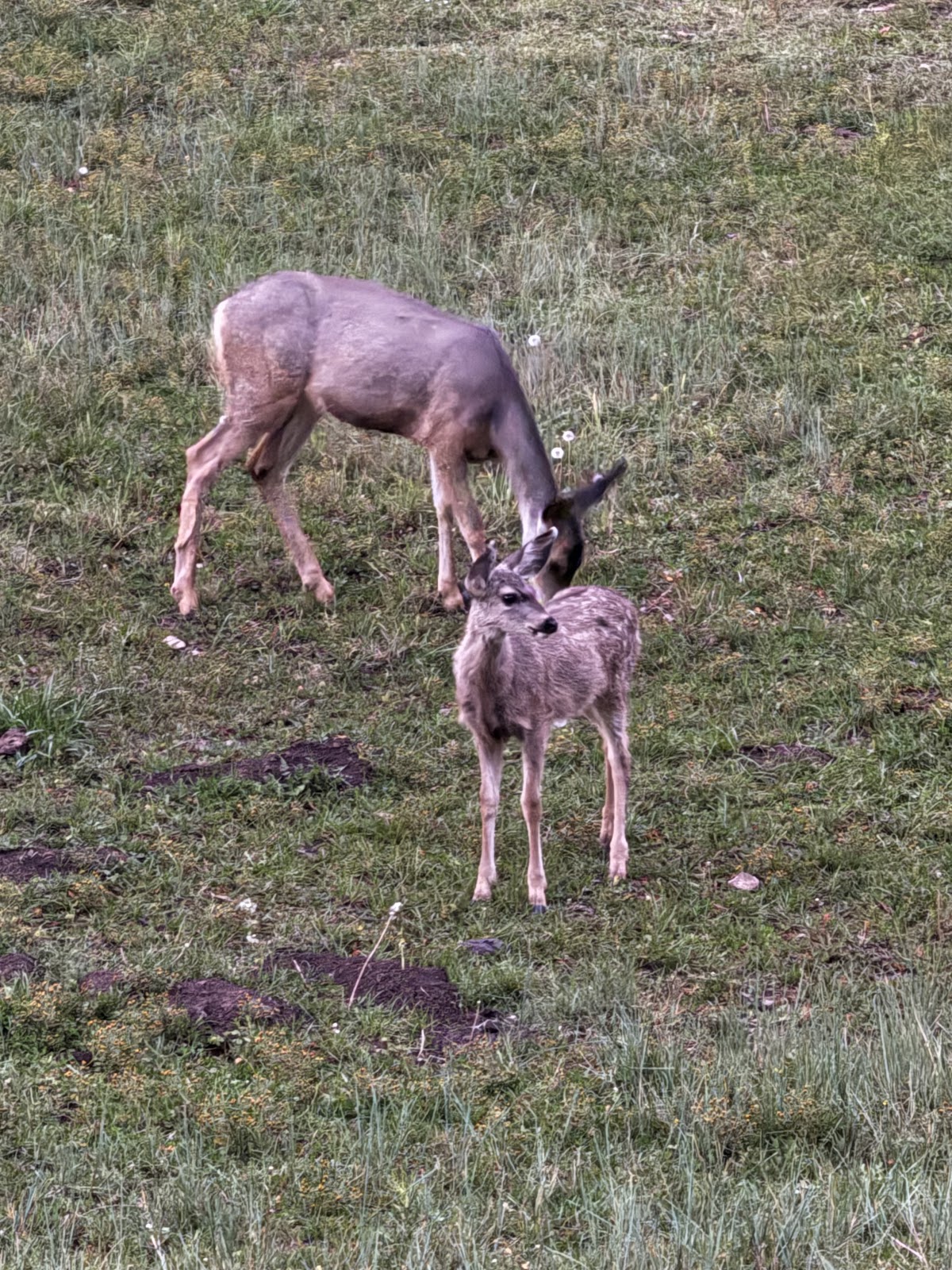 Scenic Canyon RV Park