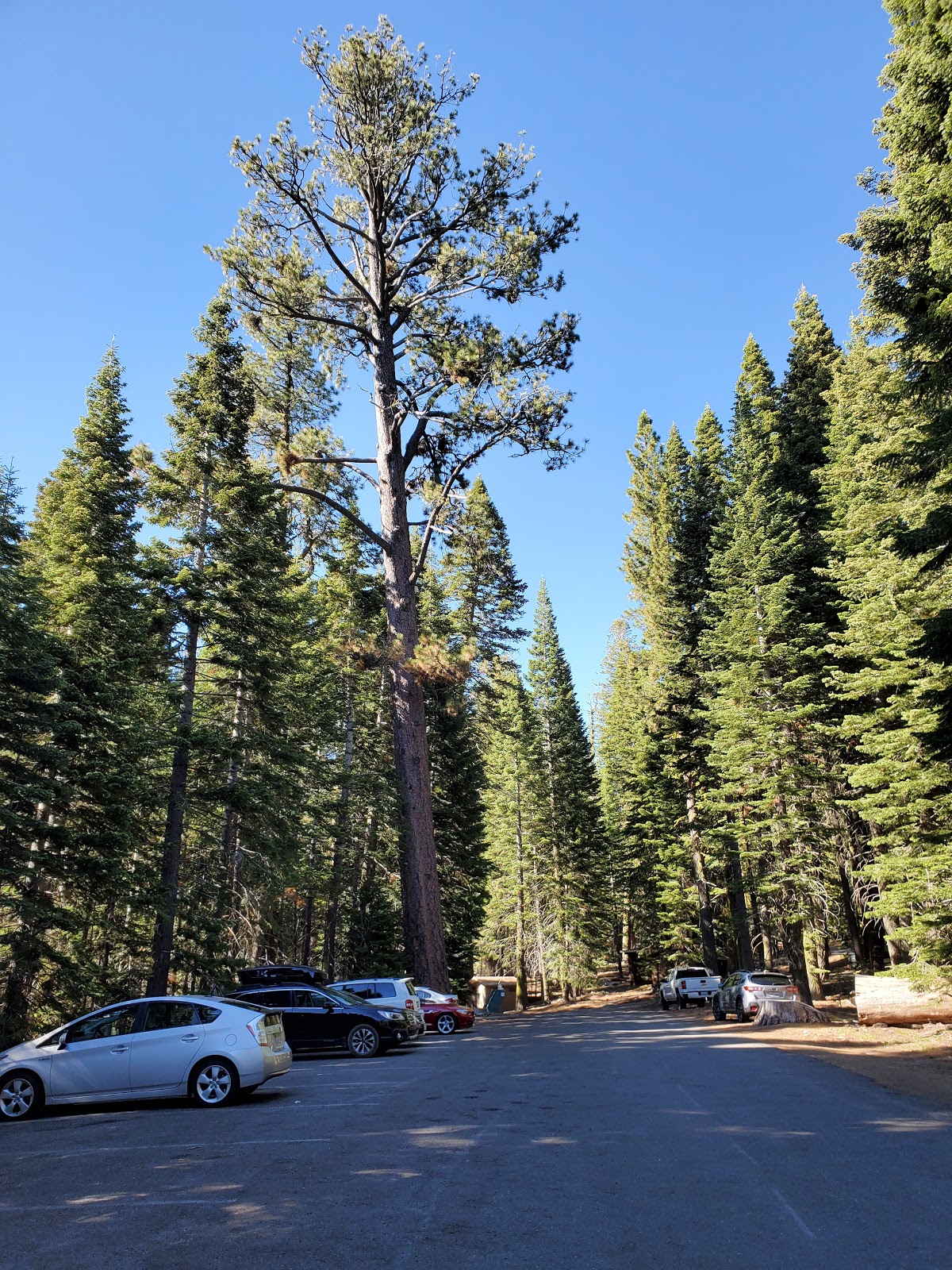 Manzanita Lake Group Campground