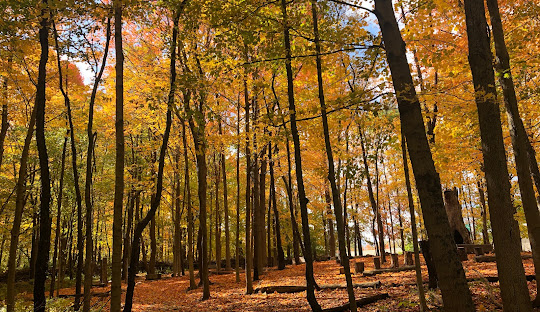 Cool Creek Park & Nature Center