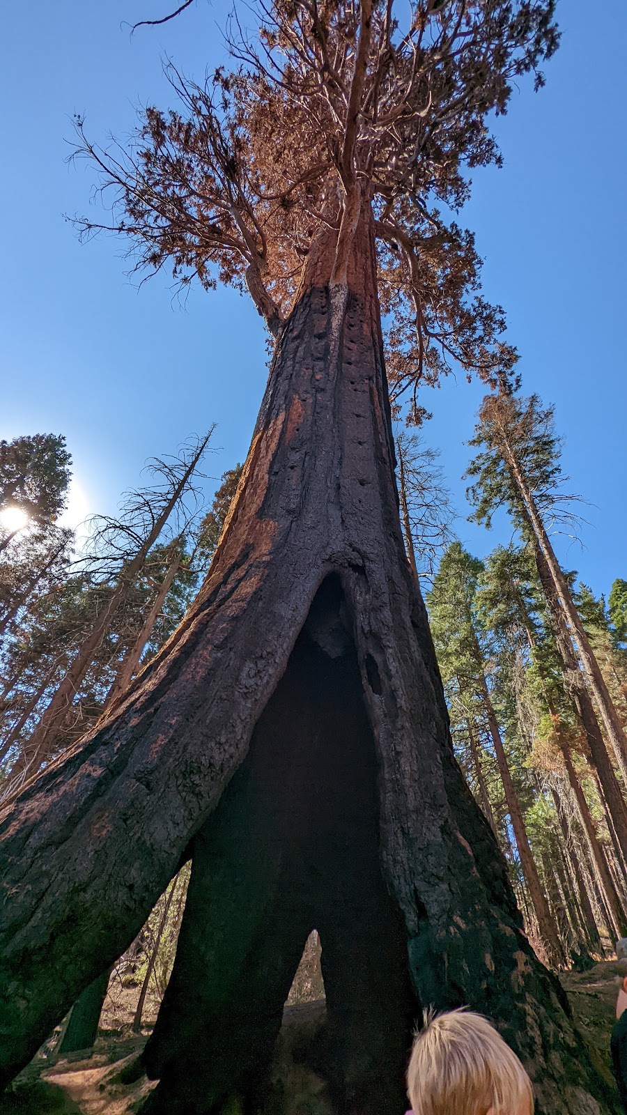 Atwell Mill Campground