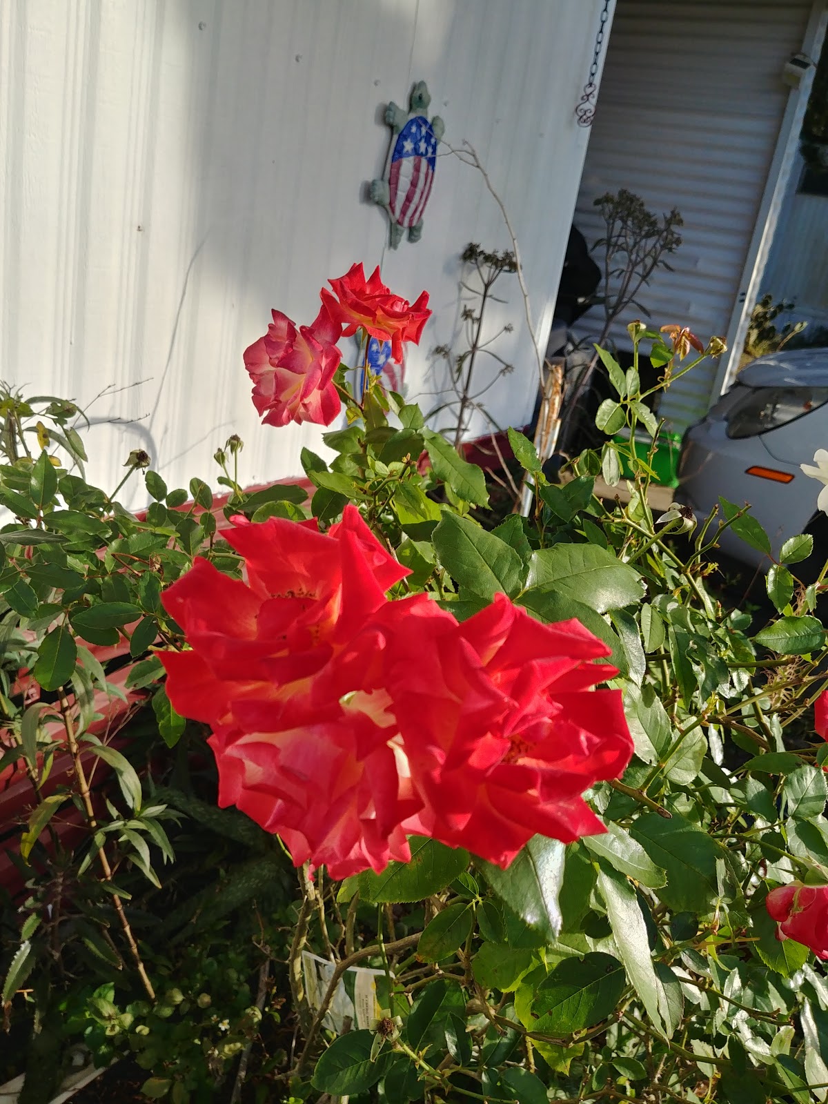 Aripeka West RV Park