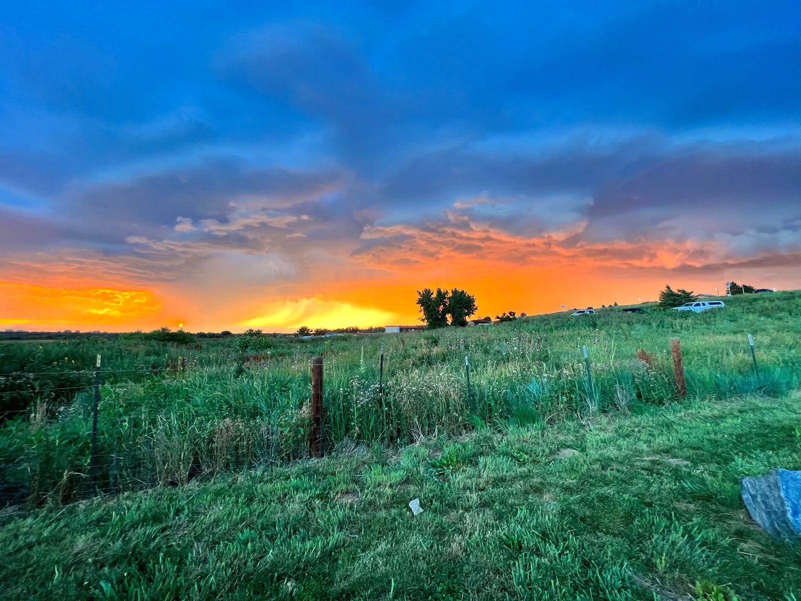 Cherry Creek State Park- Off Leash Dog Area