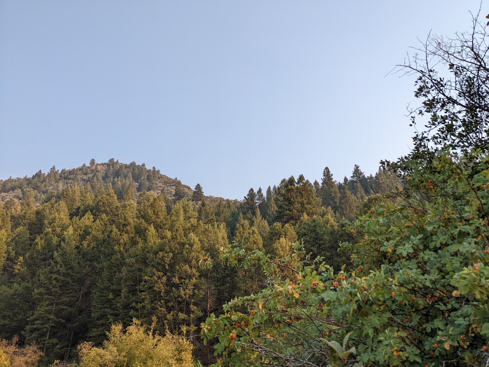 Montpelier Canyon Campground
