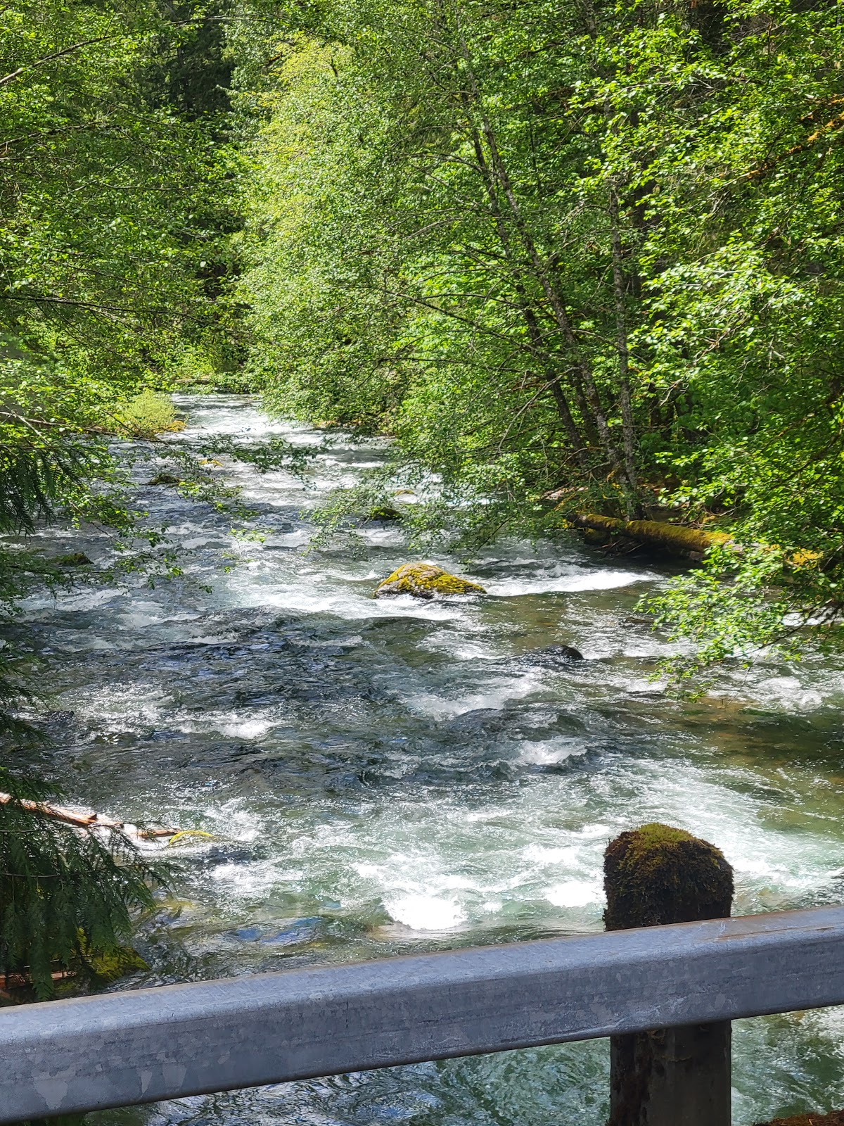 Adams Fork Campground