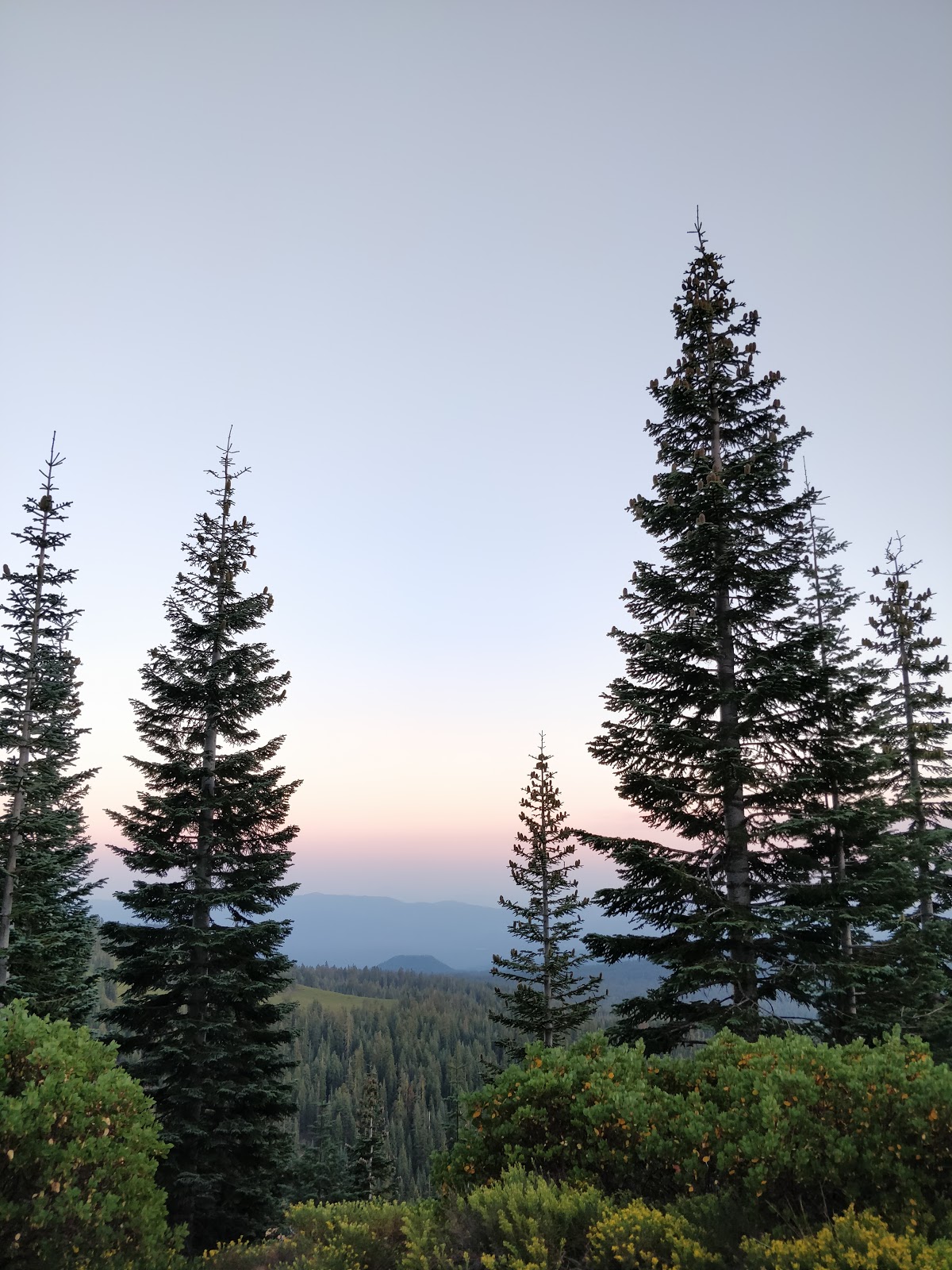 Panther Meadows Walk-In Campground