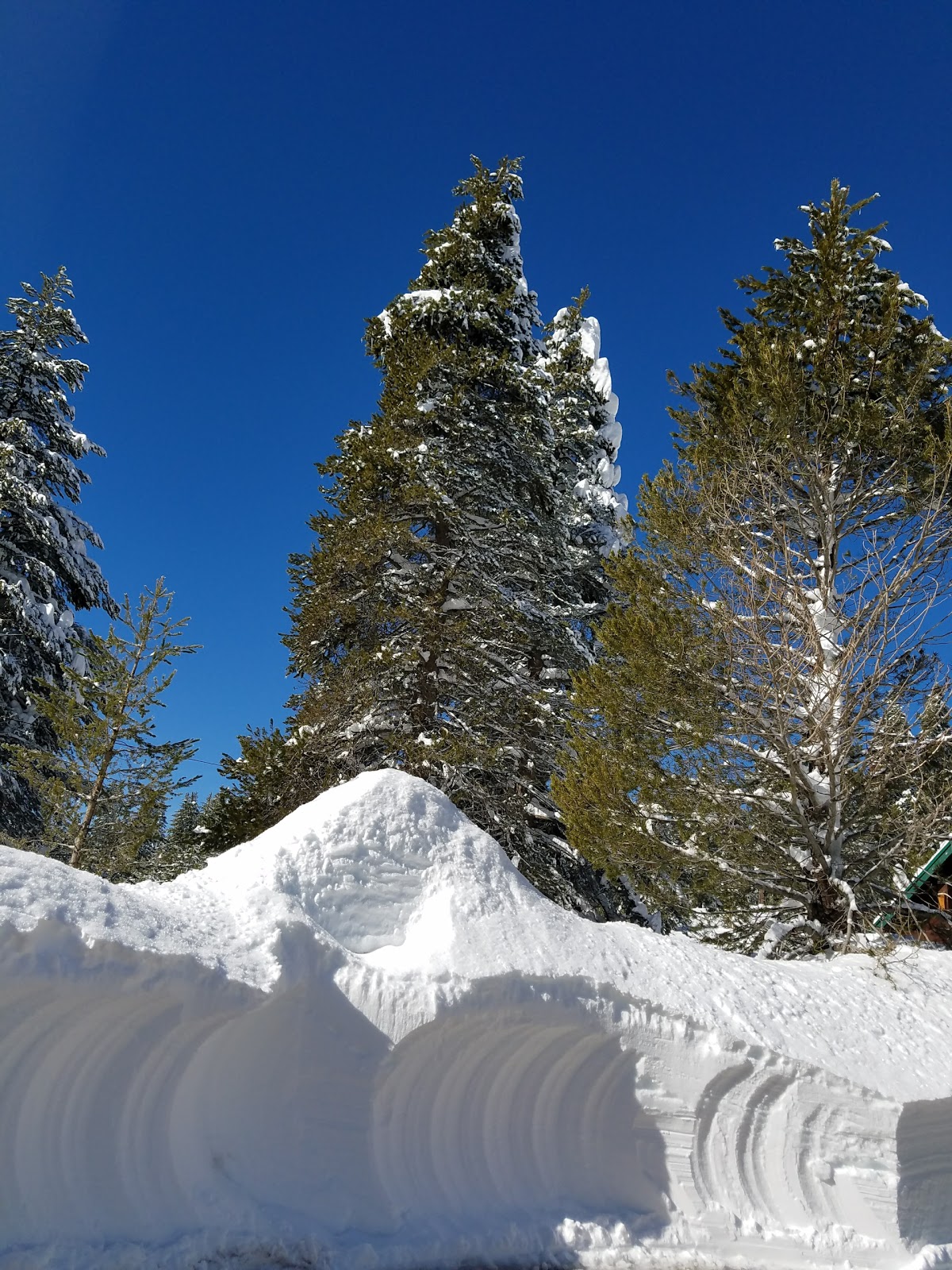 Wolverton Stock Campsites