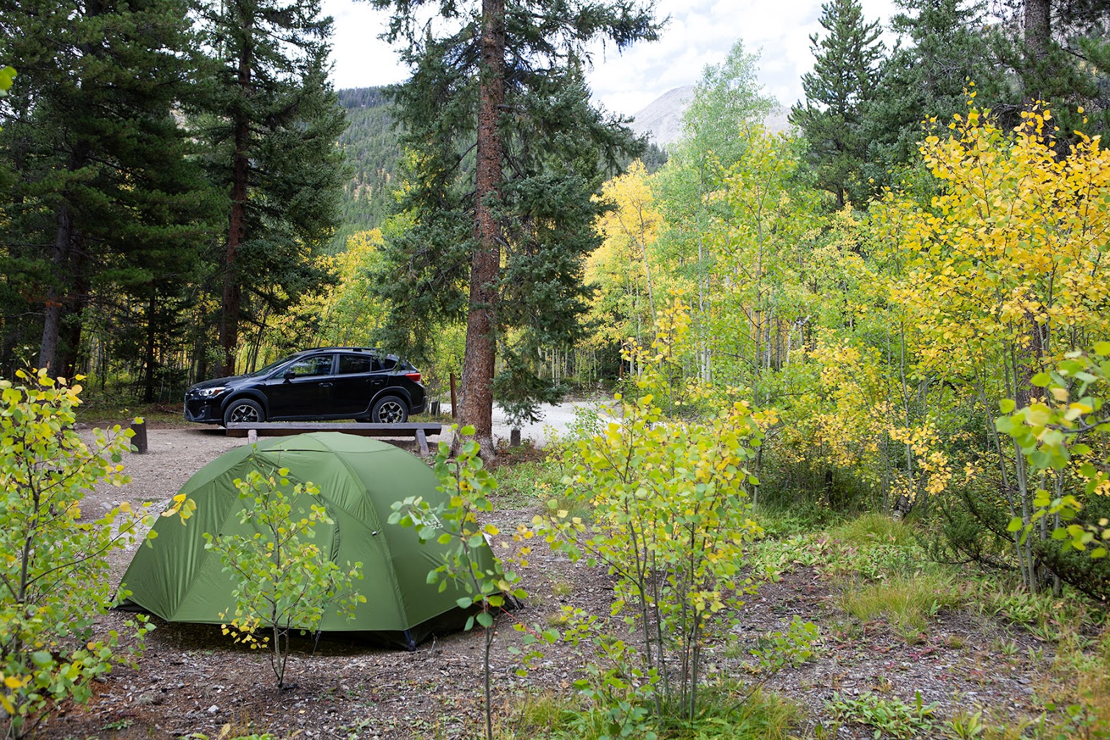 Collegiate Peaks Campground