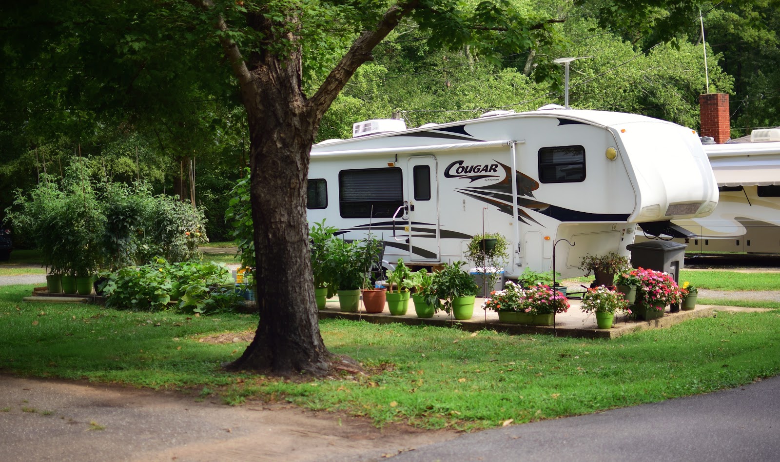 Elmore RV Park