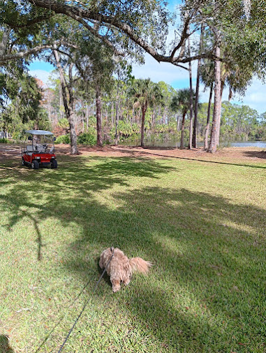 GNP--ENCORE SUPERPARK-DAYTONA NORTH