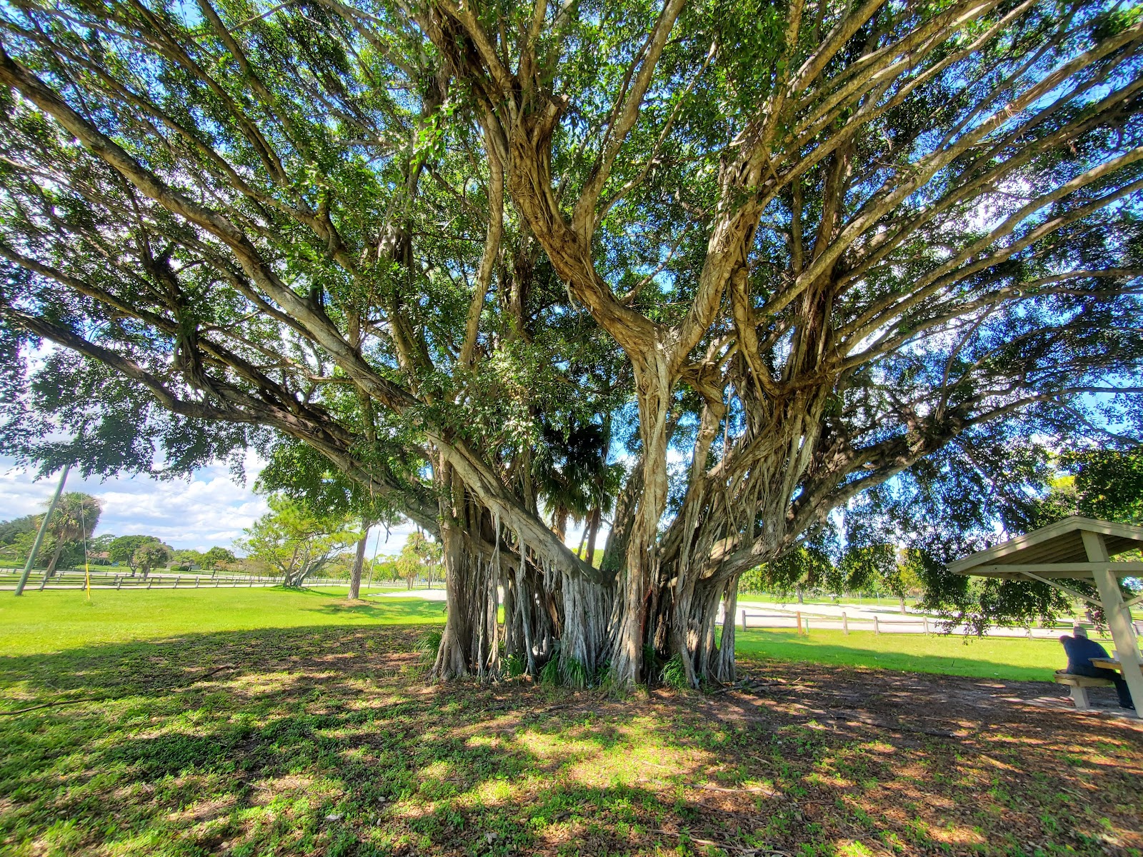 Camping Resort of the Palm Beaches