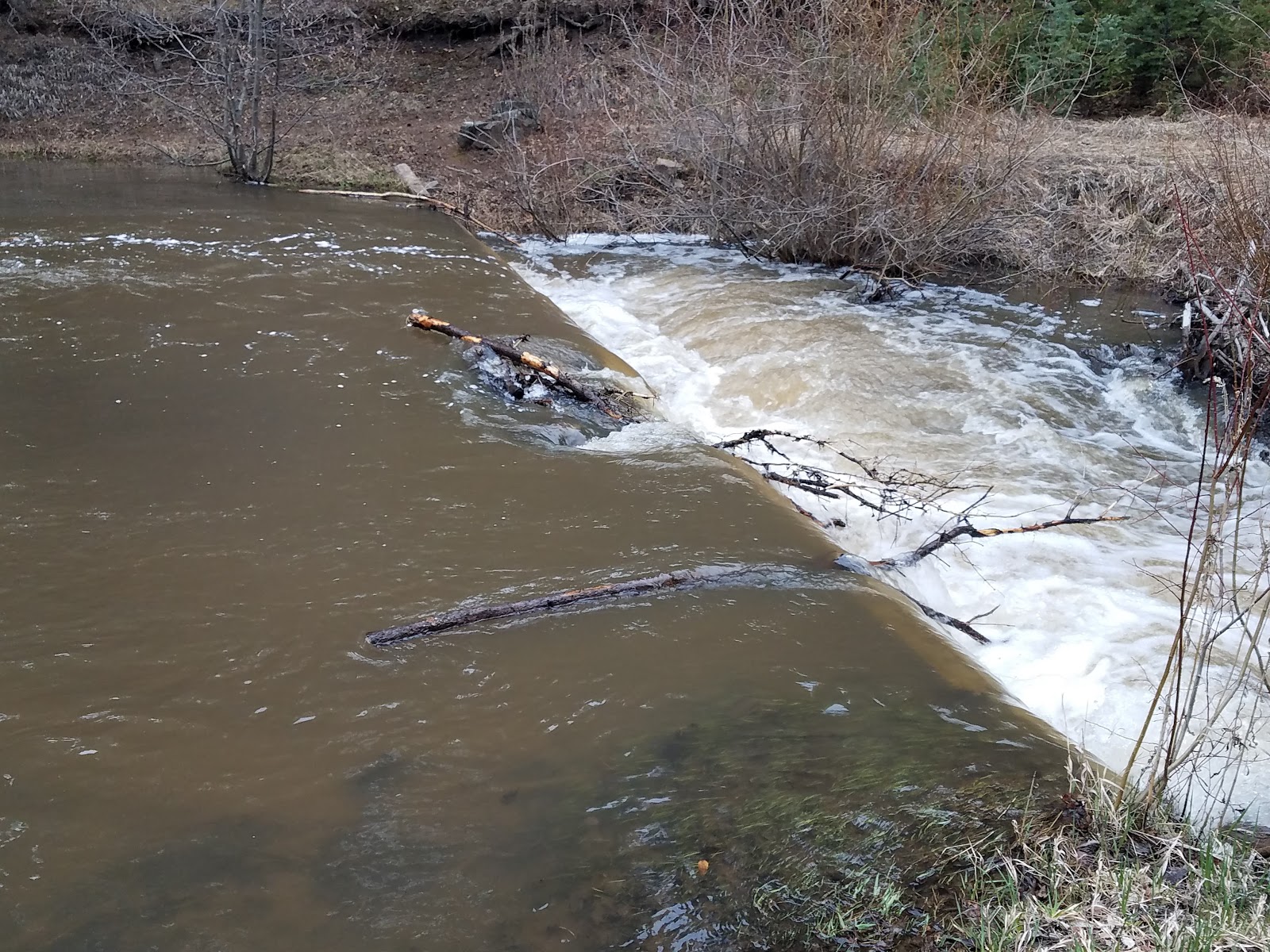 La Sombra Campground
