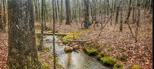 Camp Robinson Trails