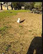 George Rogers Clark Park