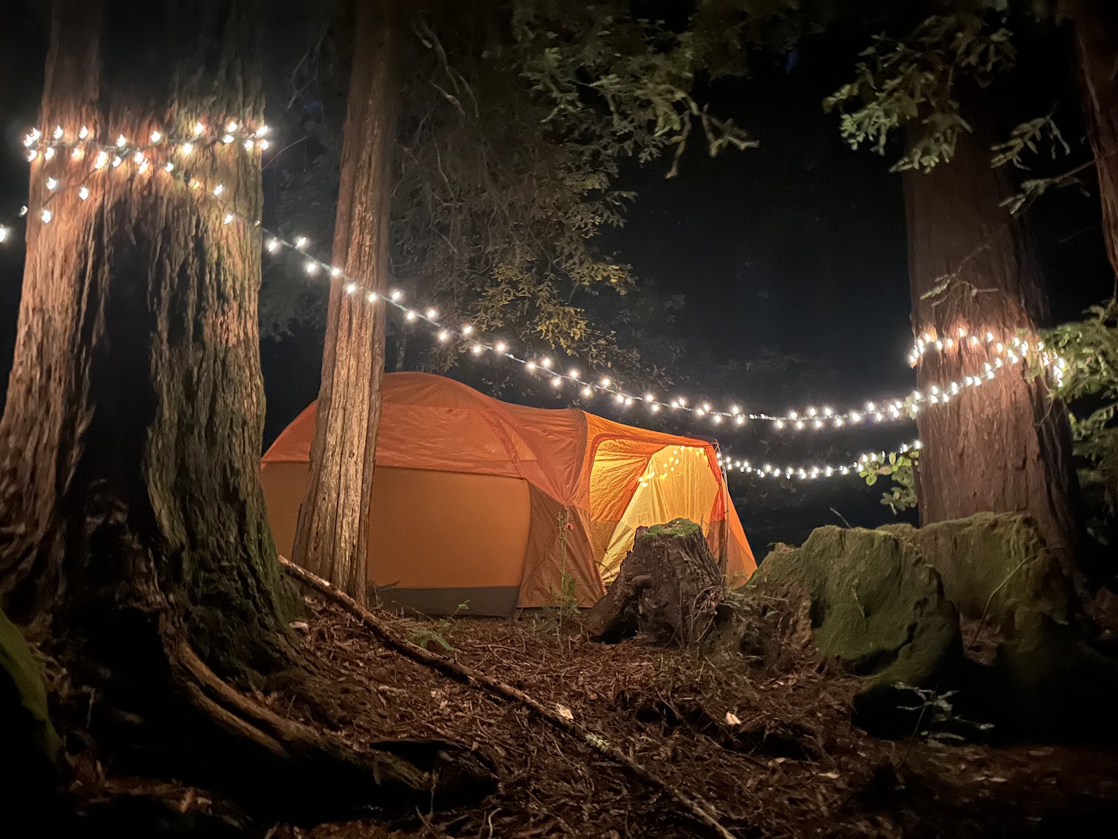 Tan Oak Campground, Mt Madonna County Park