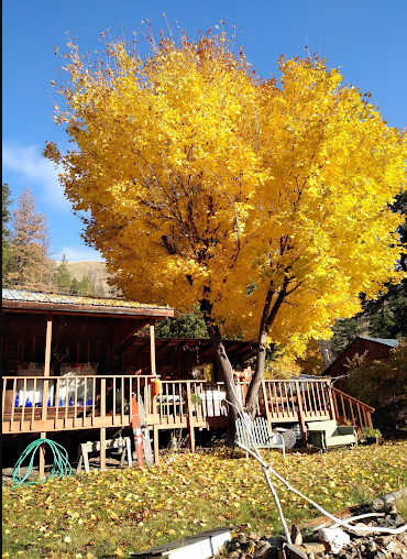 Conconully Lake Resort