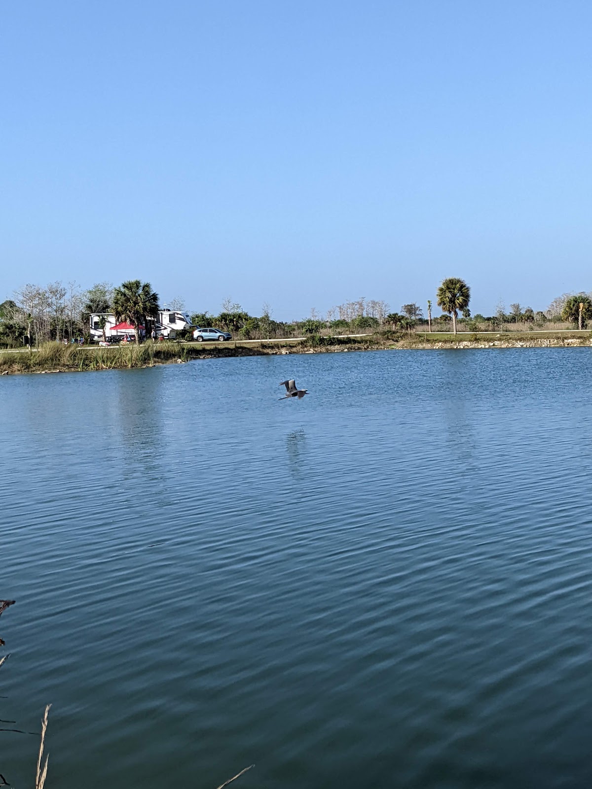 Monument Lake - Big Cypress National