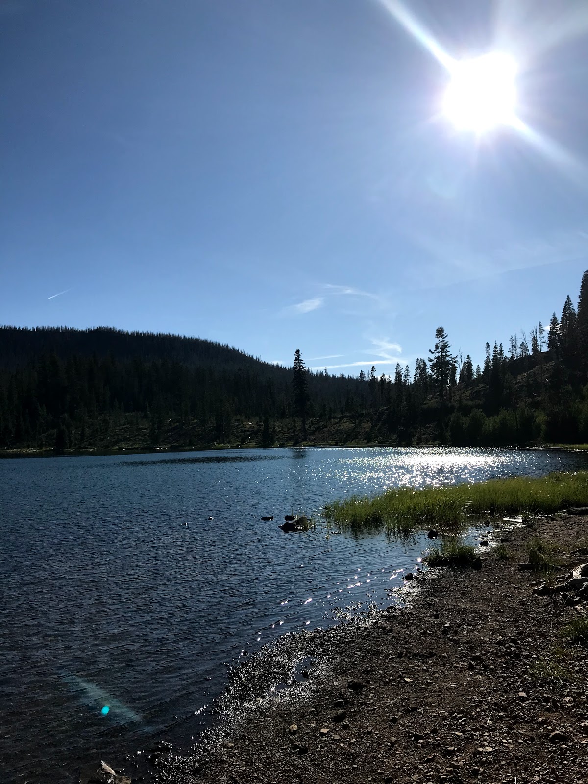 Campbell Lake Campground