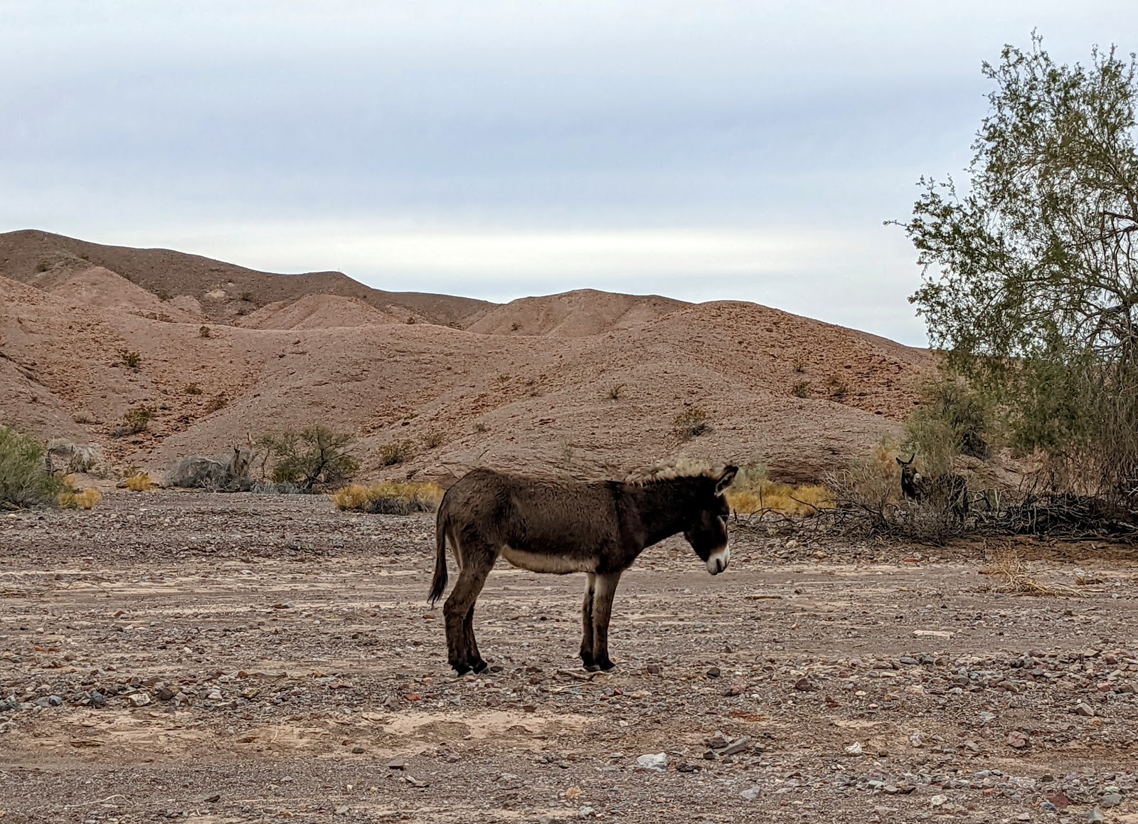 Picacho State Recreation Area
