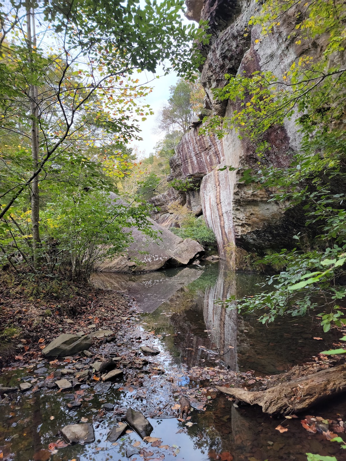 Red Bud - Bell Smith Springs Rec Area