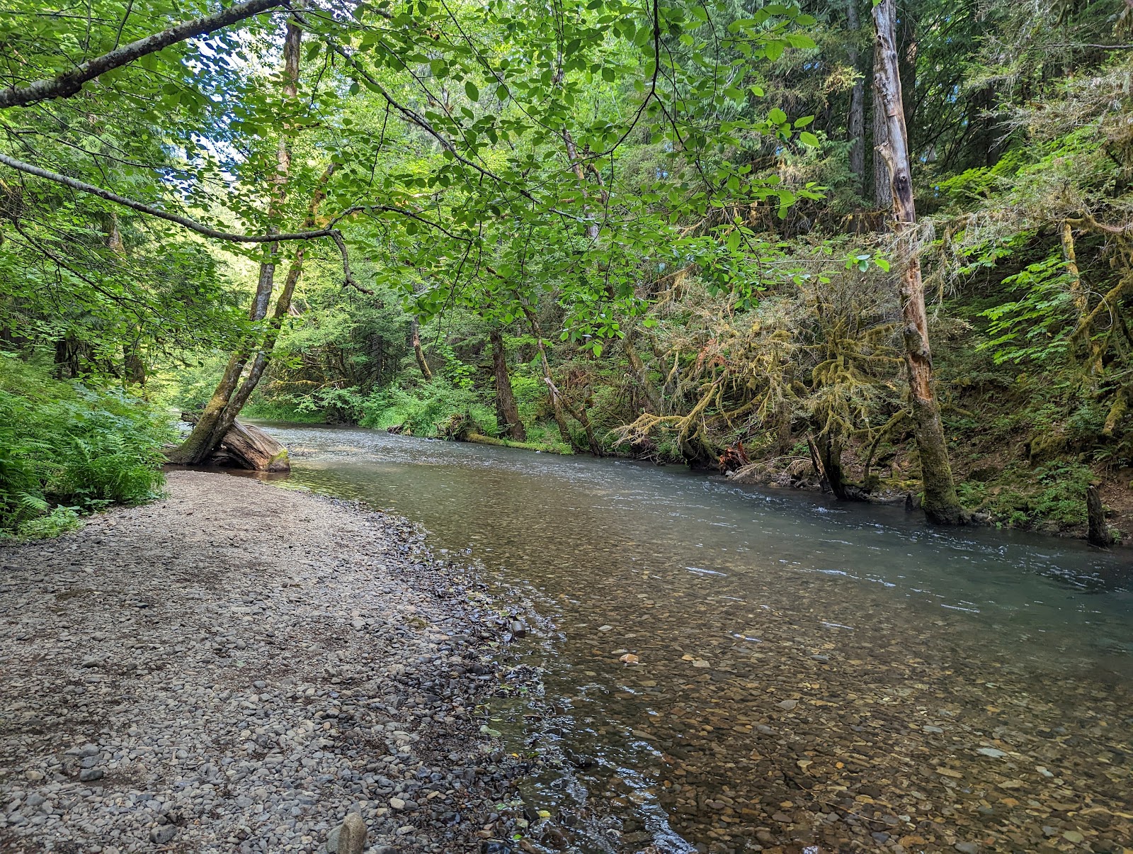 Moss Creek Campground