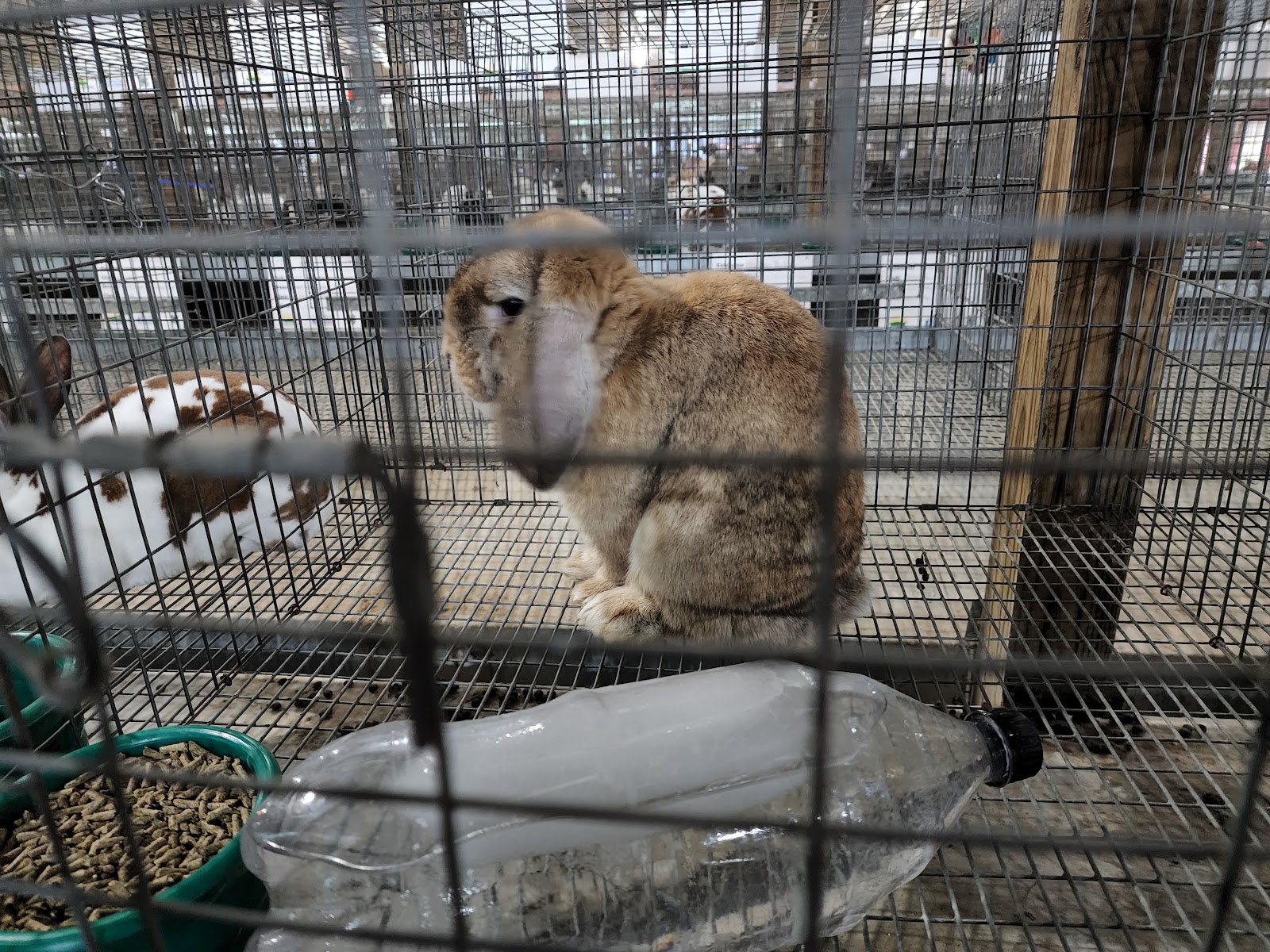 St. Joseph County Fairgrounds