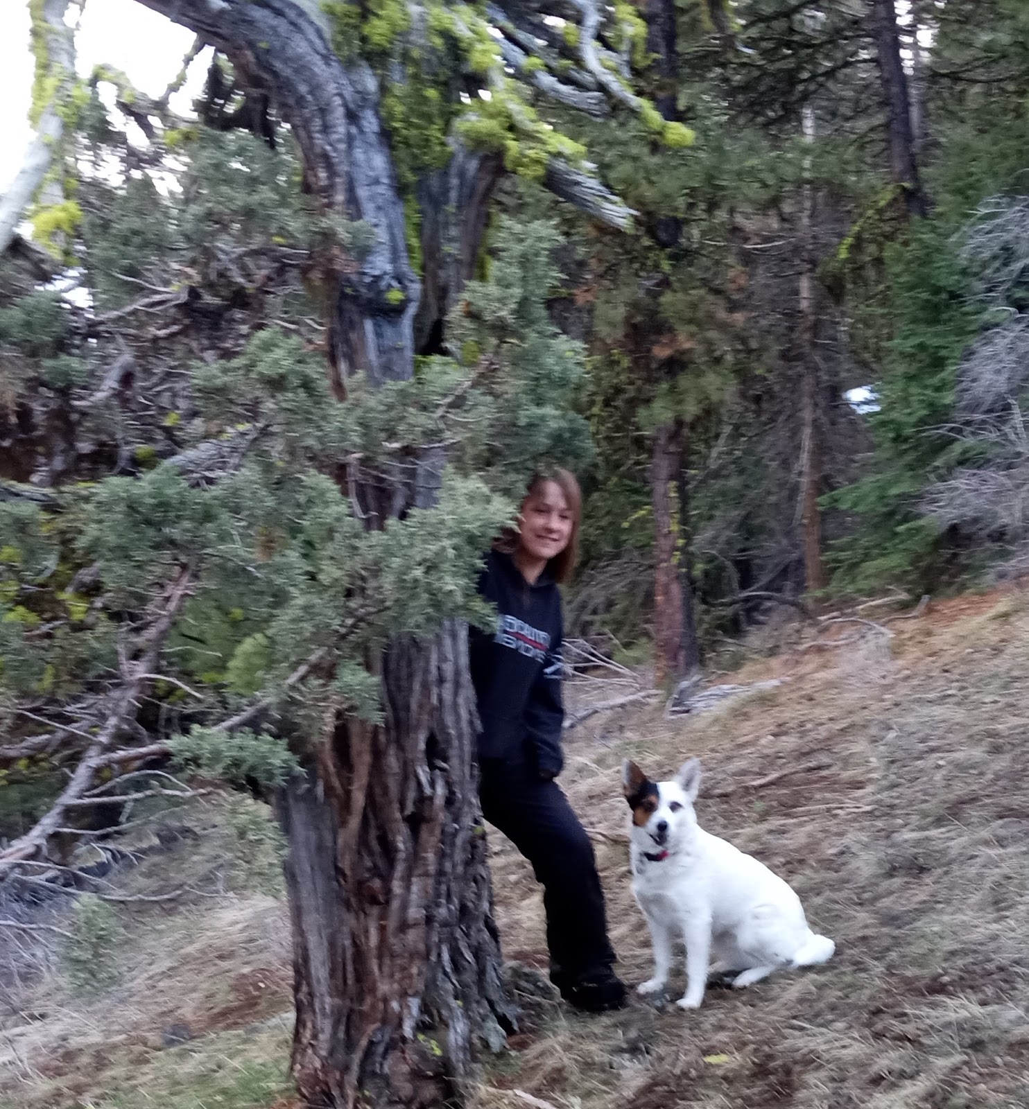 Parish Cabin Campground