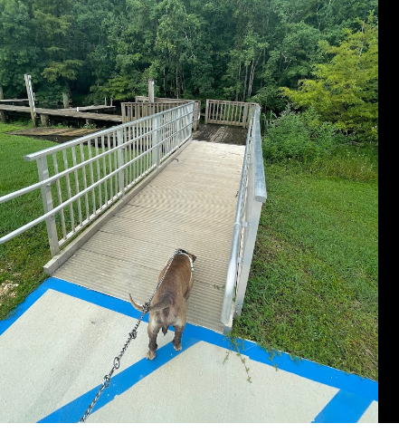 Mobile County River Delta Marina Campground
