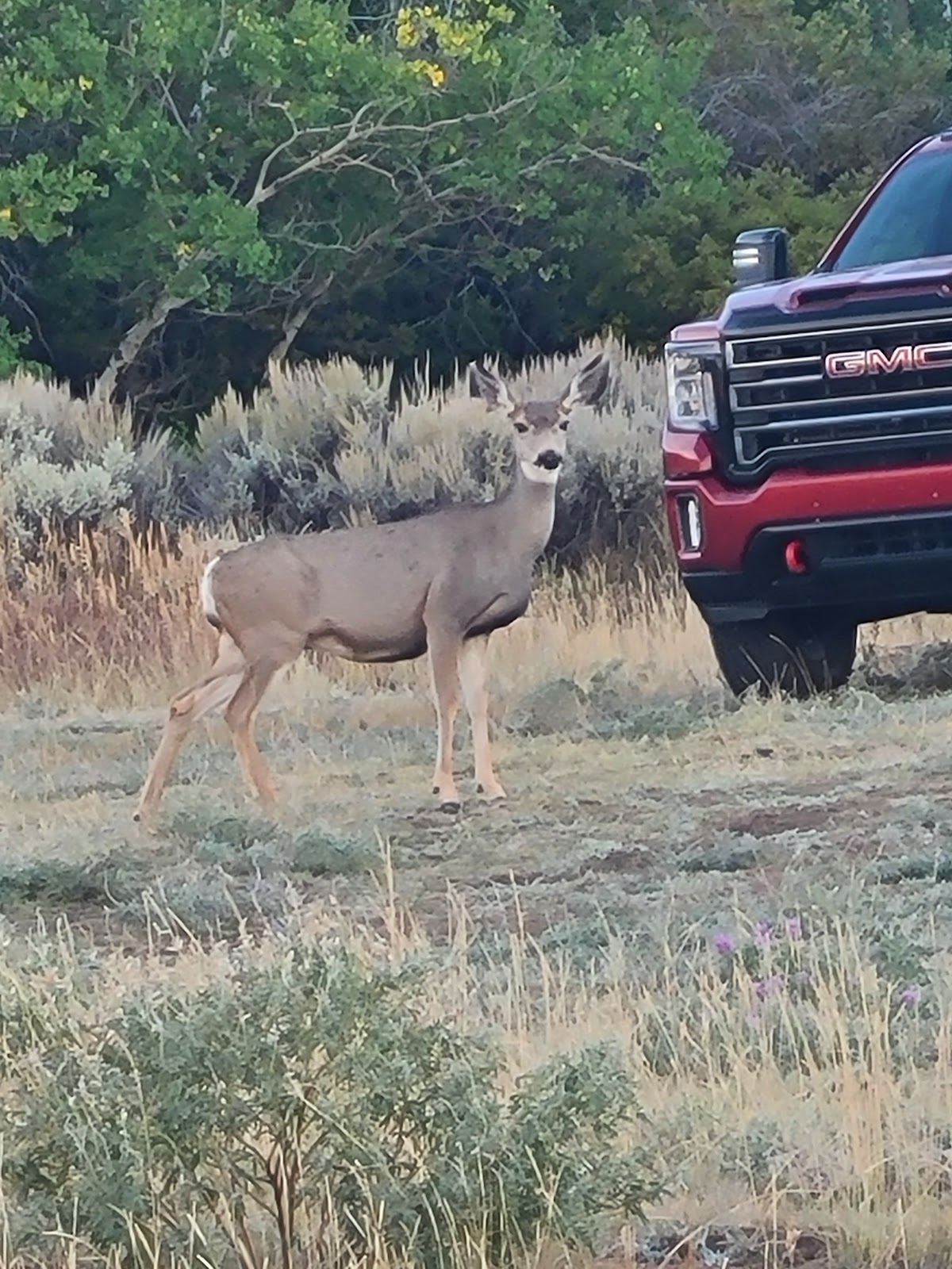 Prior Flat Campground