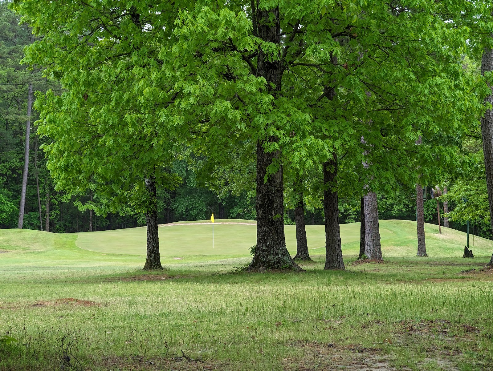 Tannenbaum Golf Club