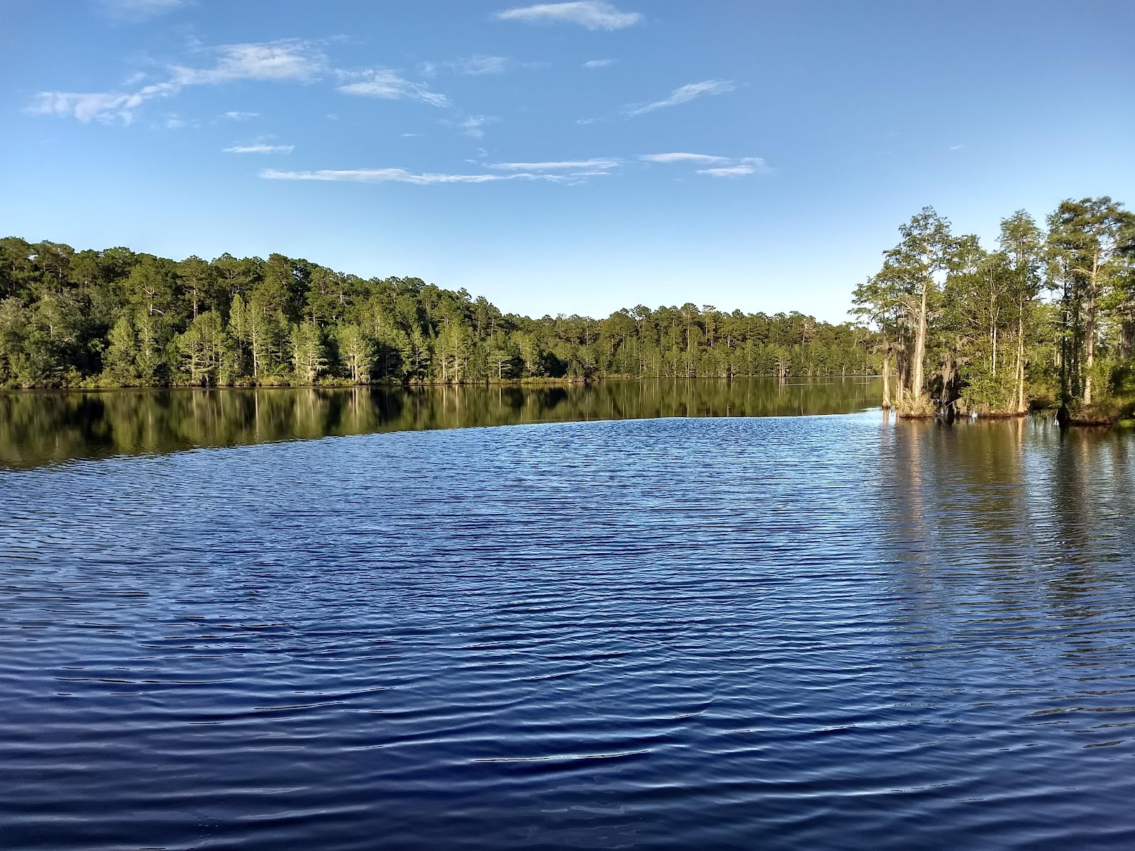 Laura S. Walker State Park