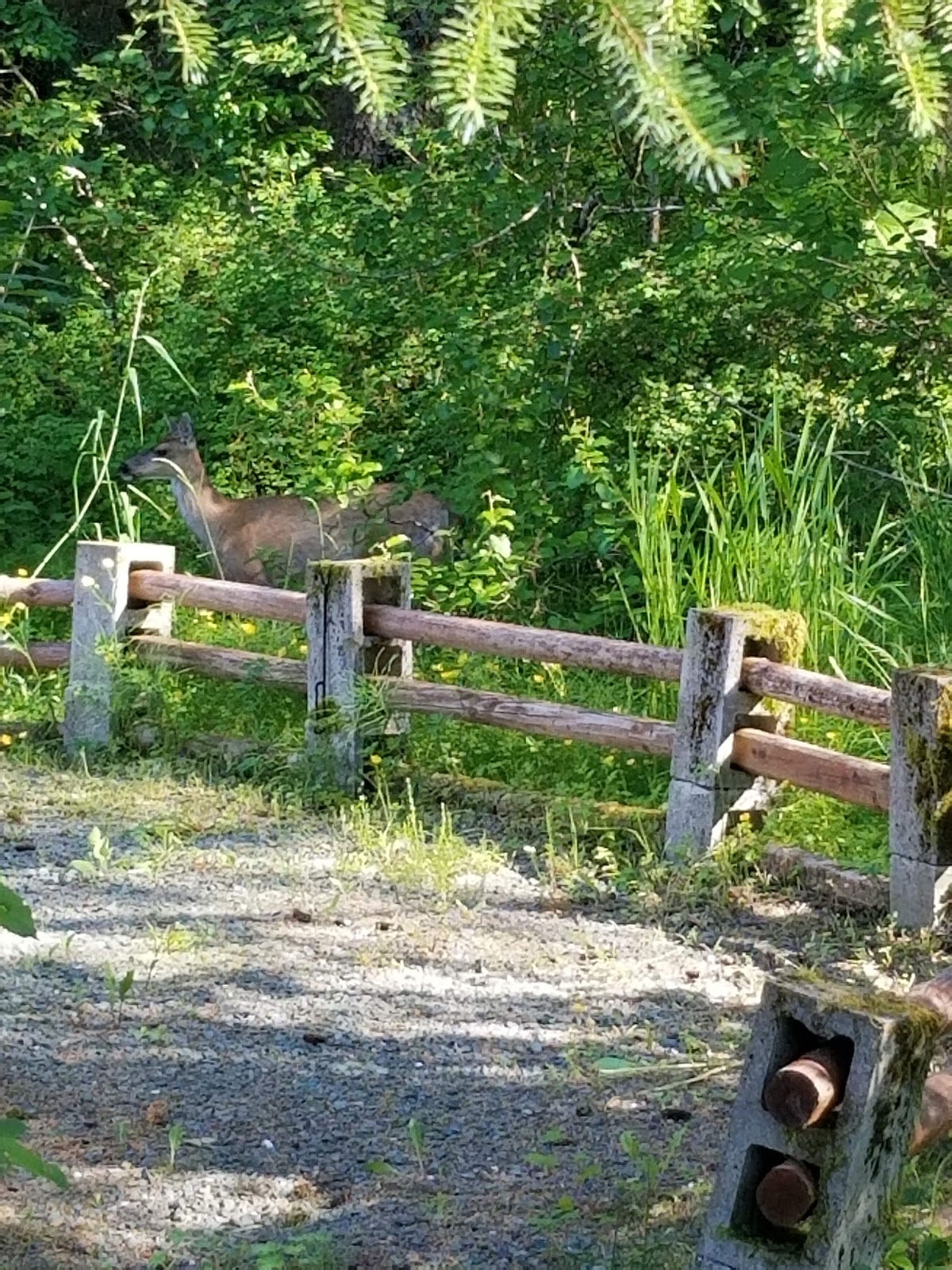 Spruce Meadow RV Park