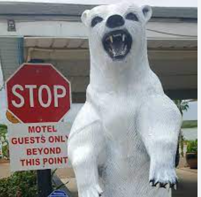 Oso Blanco Lodge & RV Park