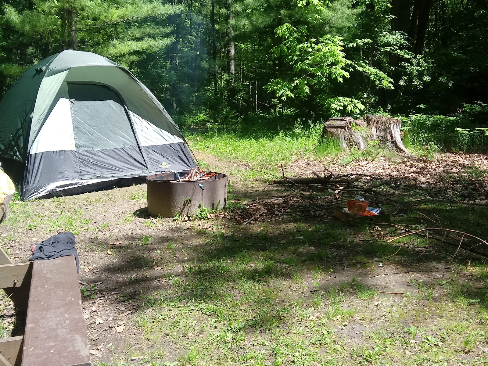 Black Creek SF Campground