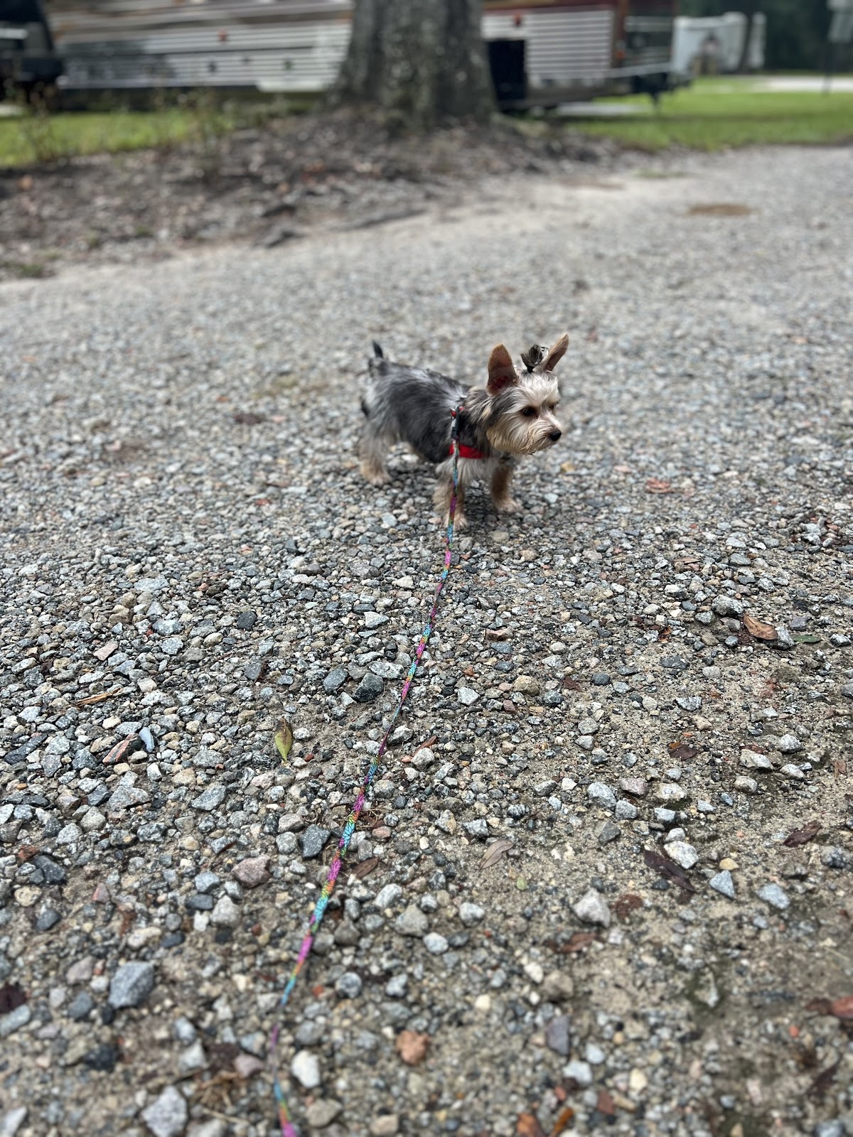 Lotts Island RV Park