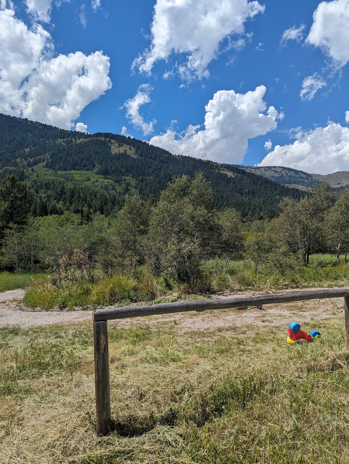 Pebble Guard Station