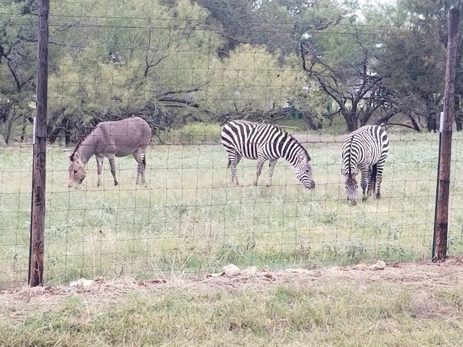 La Mancha Lake Ranch