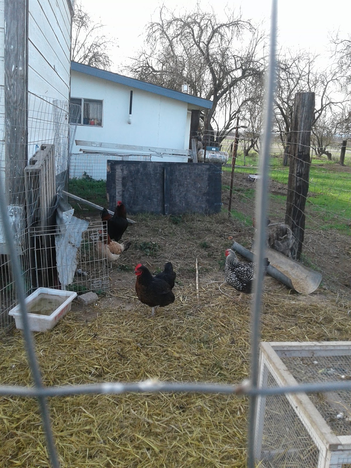 Campers Inn RV Park & Golf Course