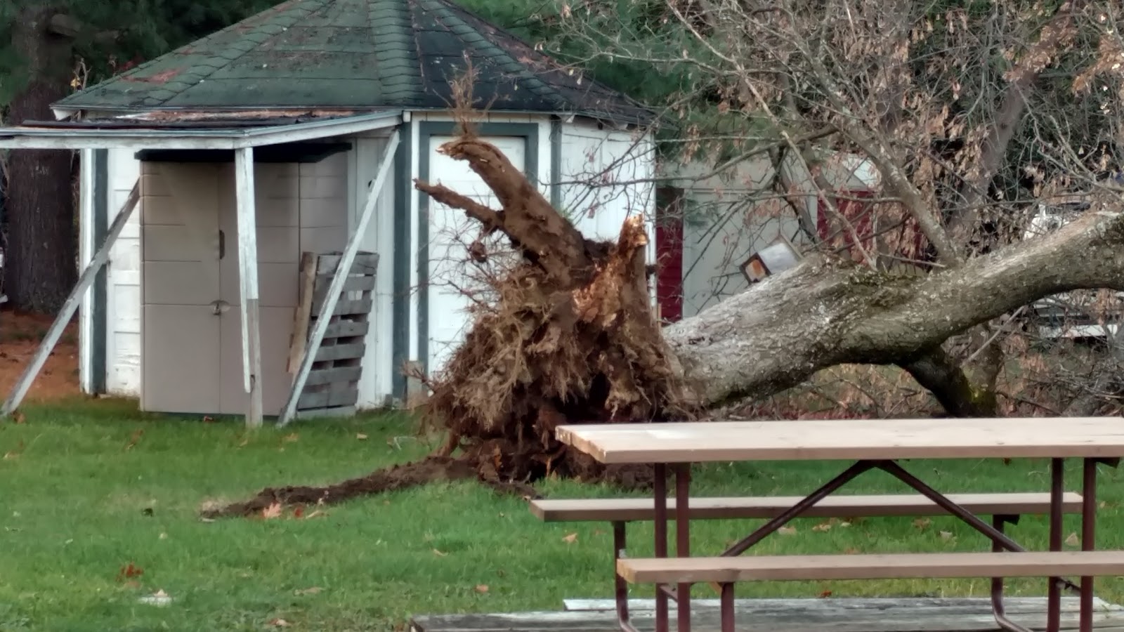 Homestead Campground