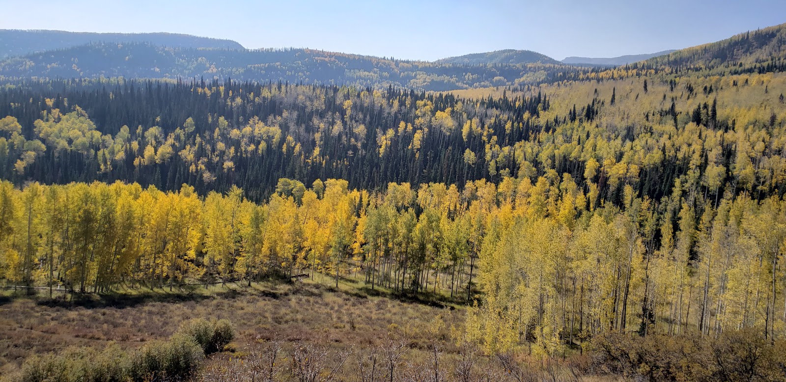 Chapman Resevoir Campground