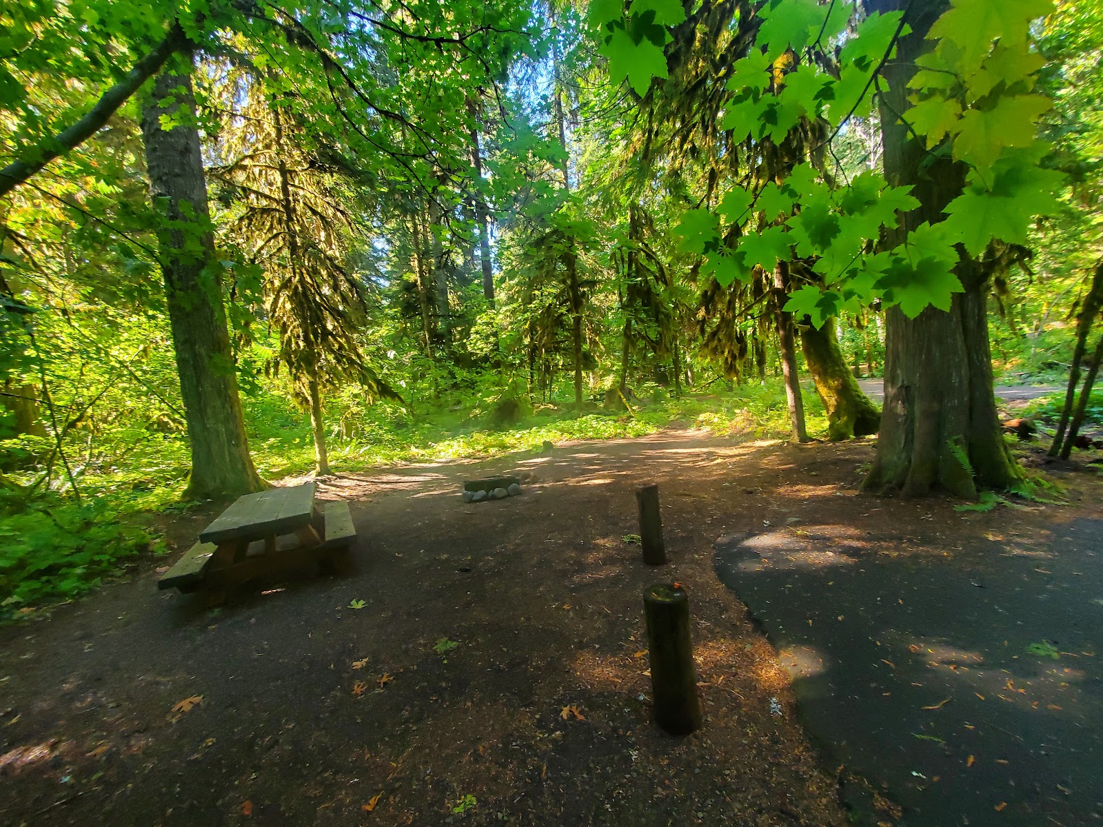 Paradise Creek Campground