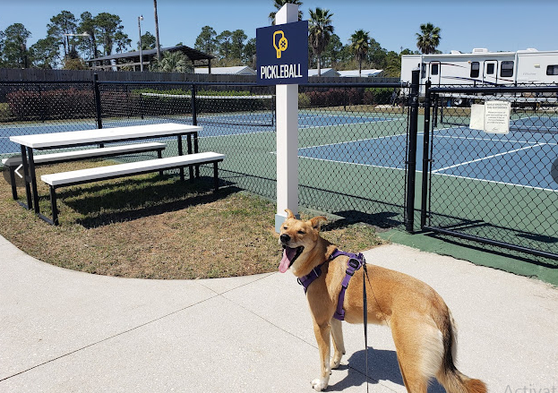 Sun Outdoors Orange Beach