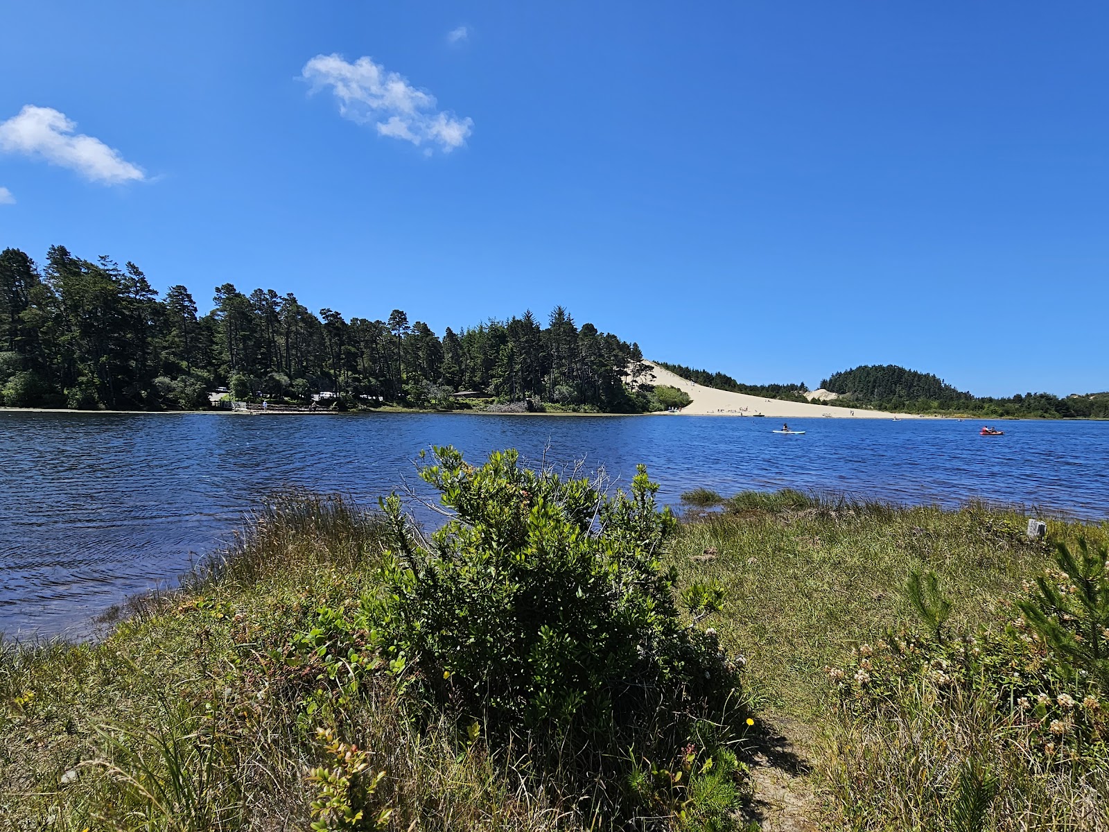 Jesse M. Honeyman Memorial State Park
