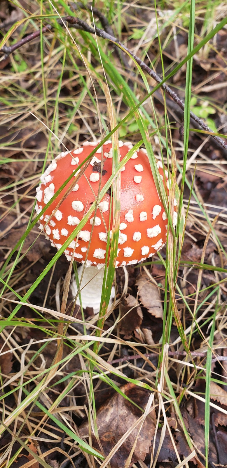 Elmendorf AFB FamCamp