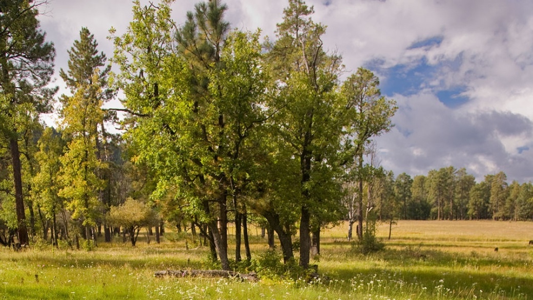 Los Burros Campground