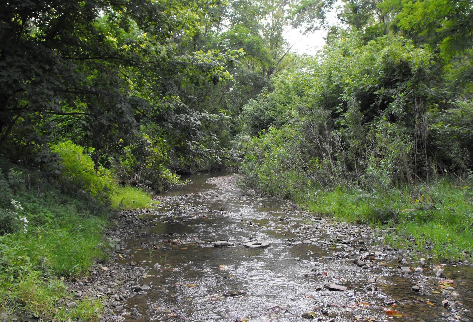 Rippling Stream Campground