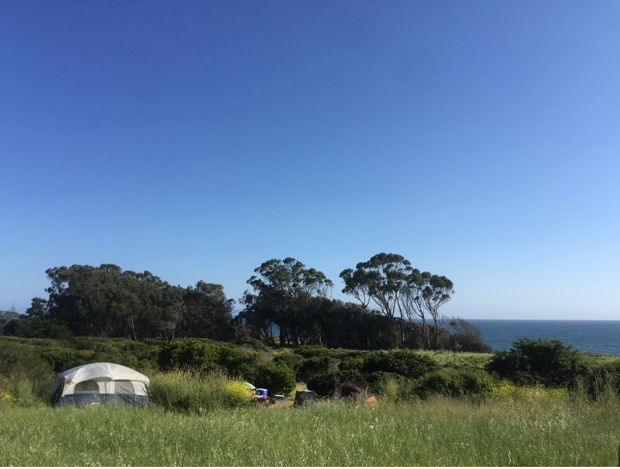 Manresa State Beach Campground
